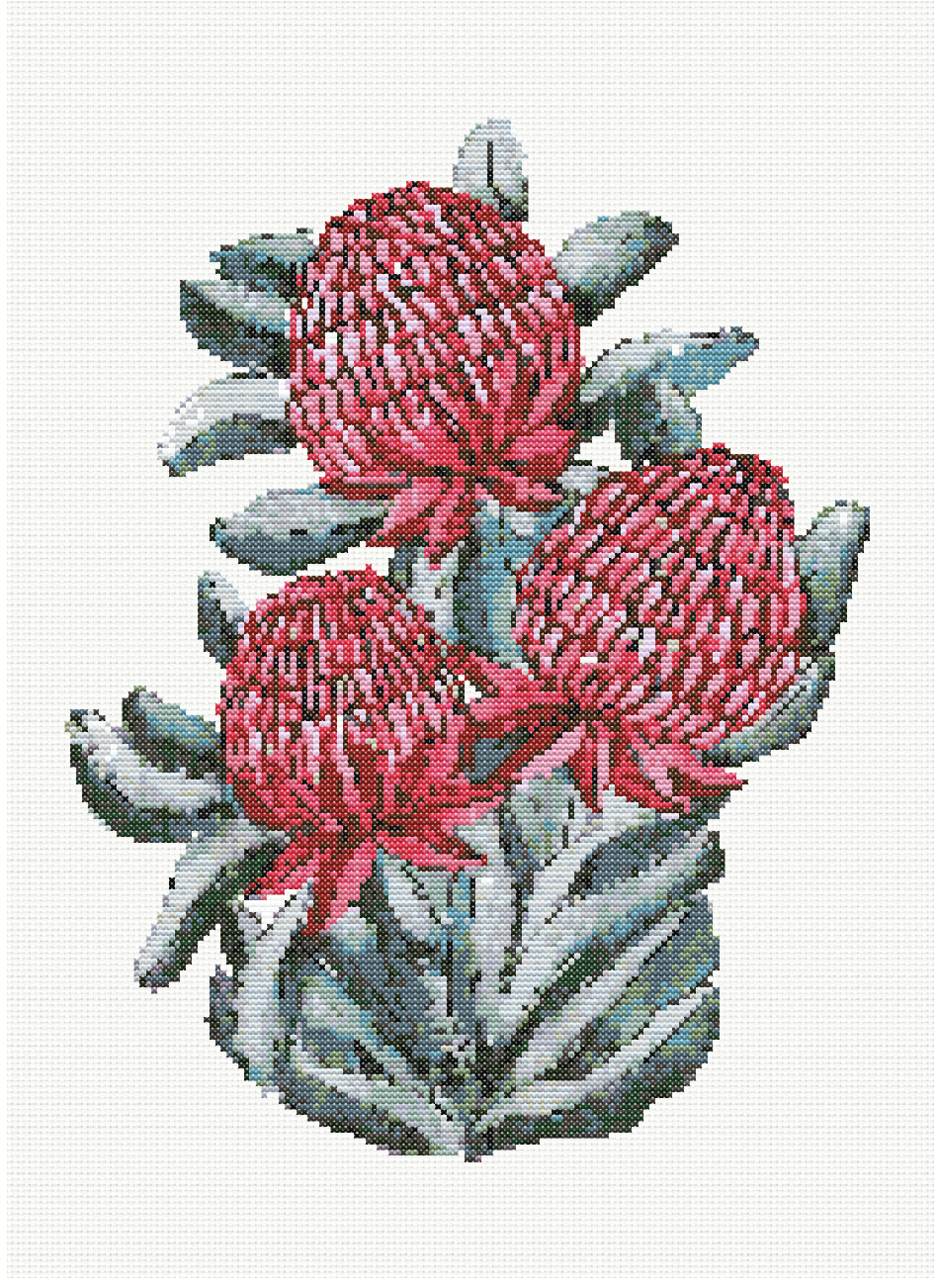 Crimson Glory - Waratah Bouquet Cross Stitch Pattern