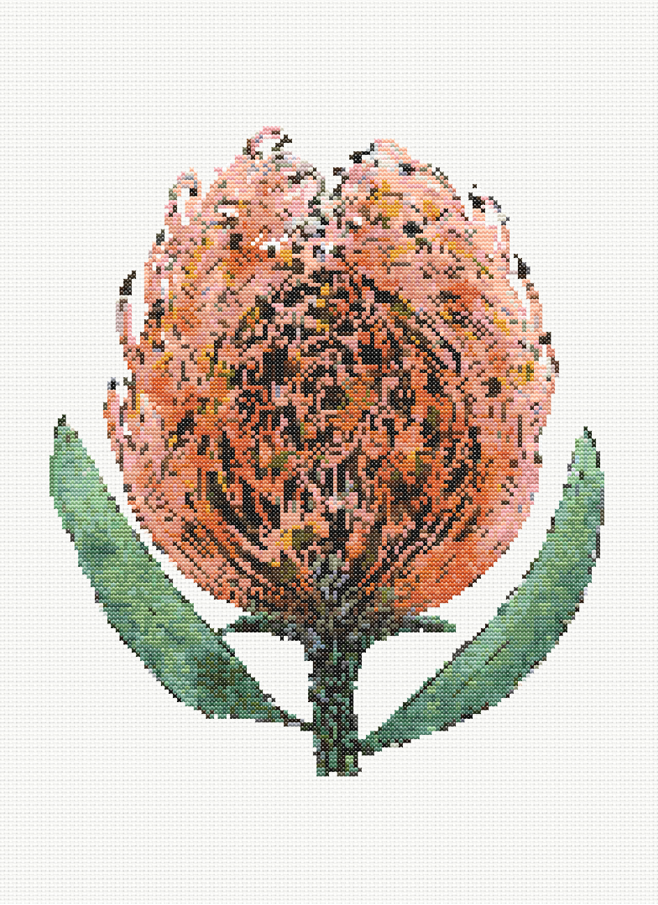 Amber Crown - Pincushion Protea Cross Stitch Pattern
