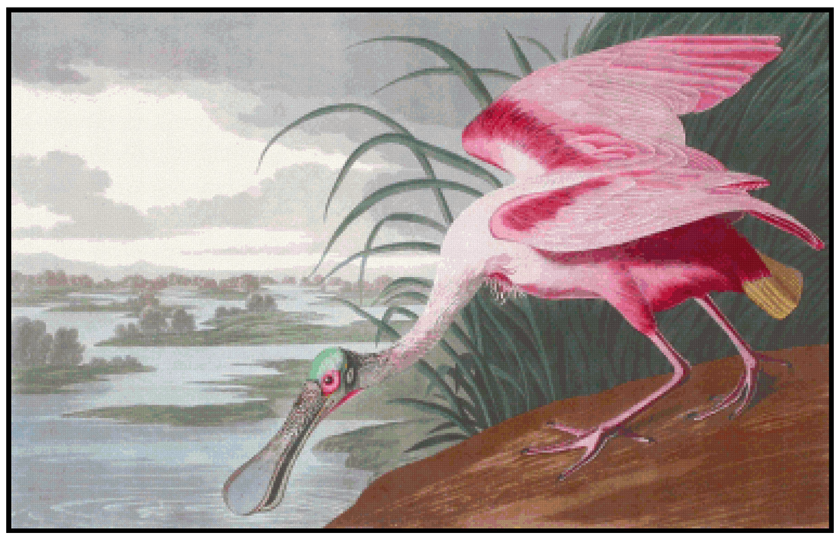 Roseate Spoonbill - John James Audubon Cross Stitch Pattern
