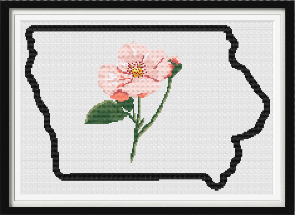 Iowa & Wild Prairie Rose Outline Map Black Cross Stitch Pattern