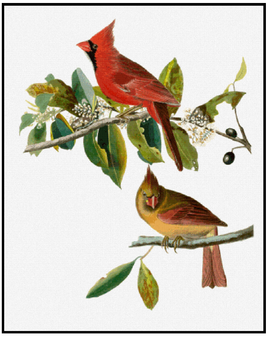Cardinal Grosbeak - John James Audubon Cross Stitch Pattern