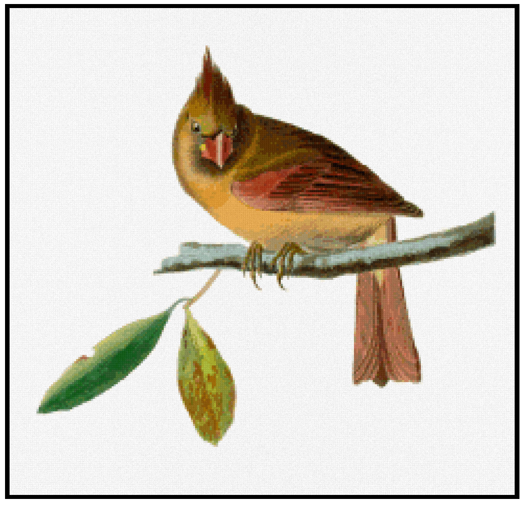 Cardinal Grosbeak (Female) - John James Audubon Cross Stitch Pattern