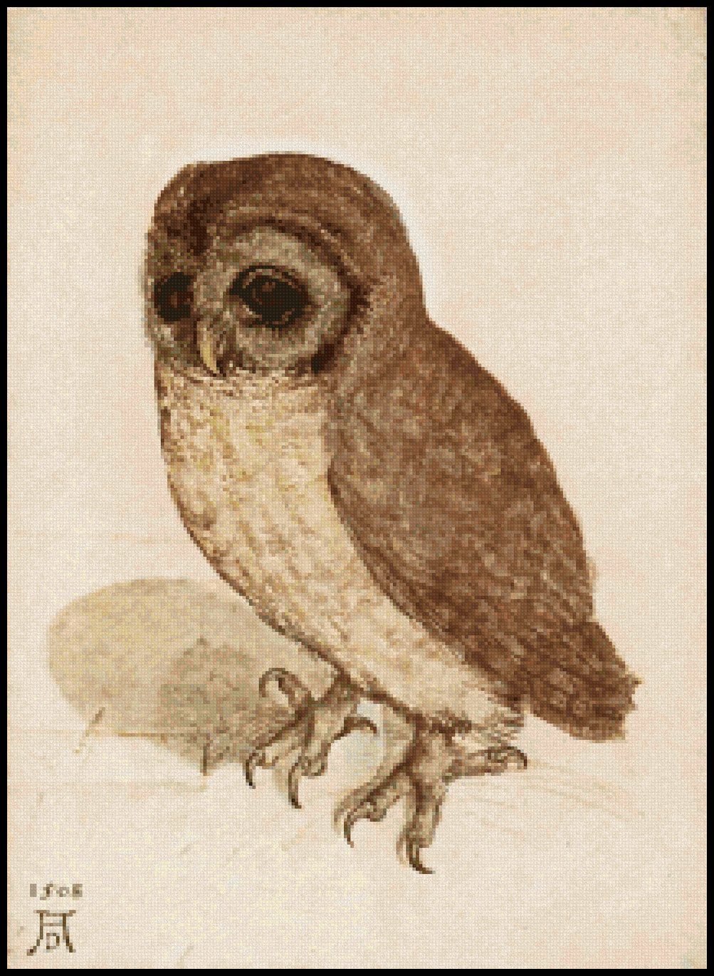 The Little Owl Albrecht Durer Cross Stitch Pattern
