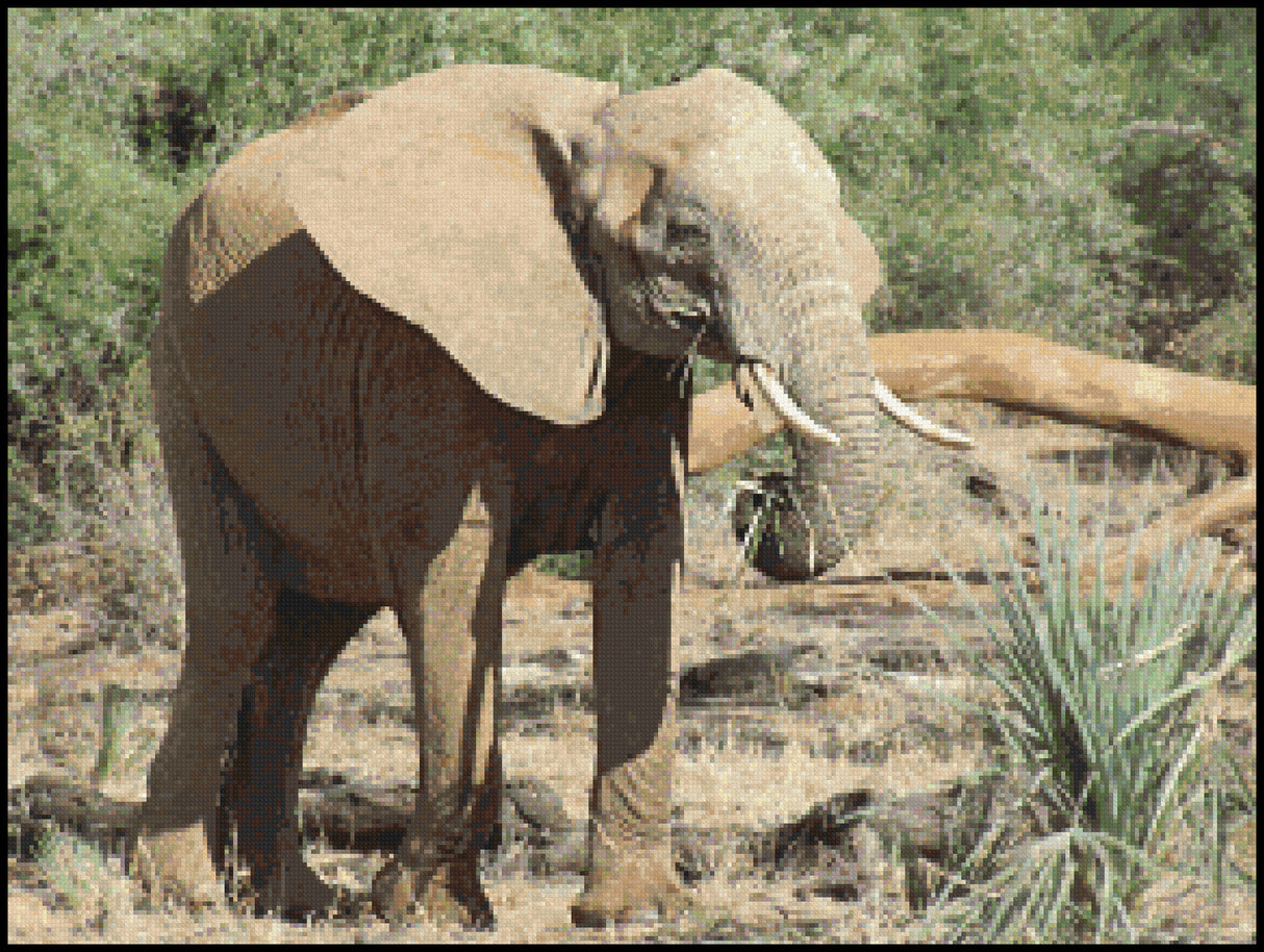 African Elephant (smaller) Cross Stitch Pattern