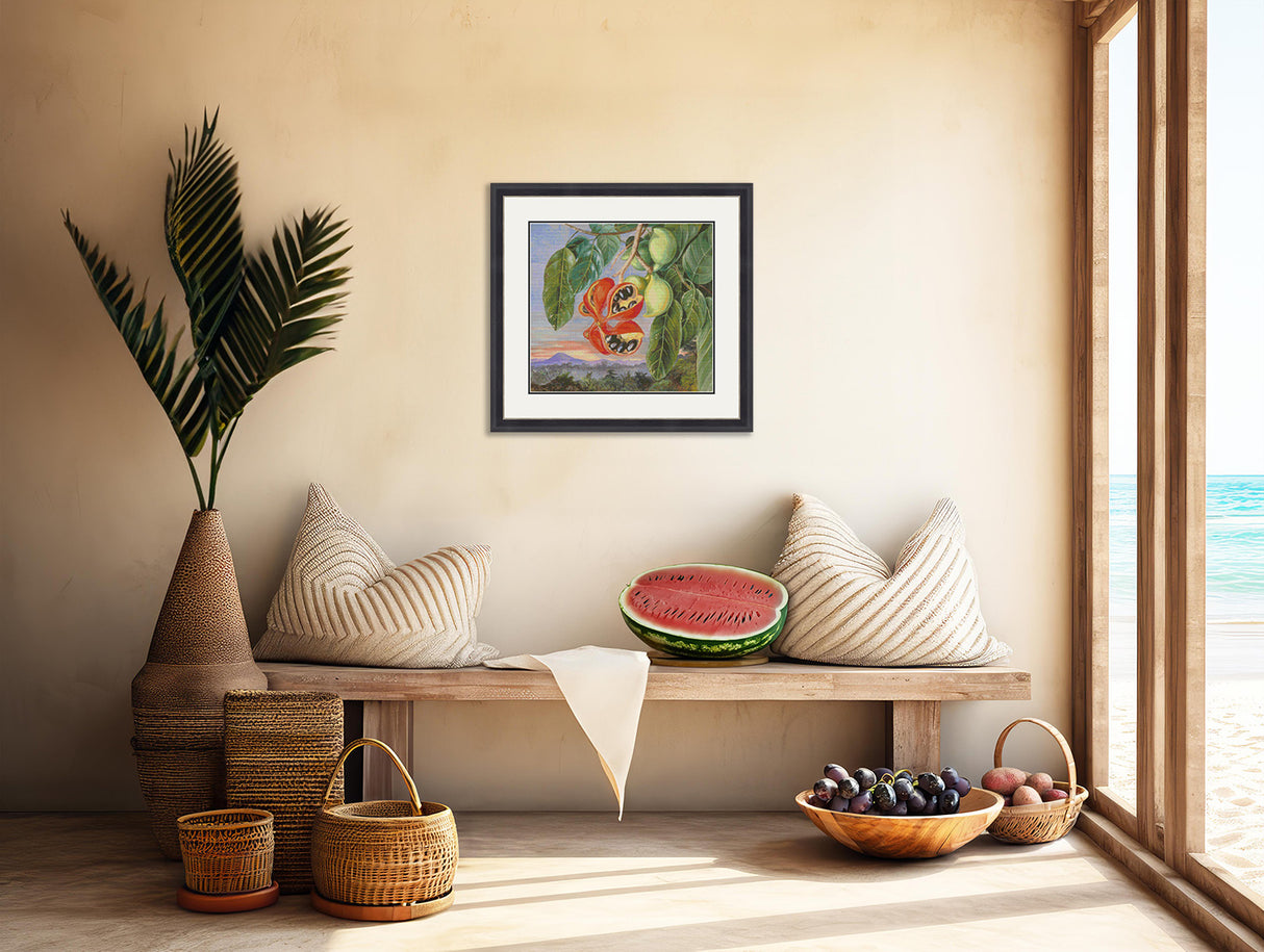 Foliage and Fruit of Sterculia Parviflora North Cross Stitch Pattern