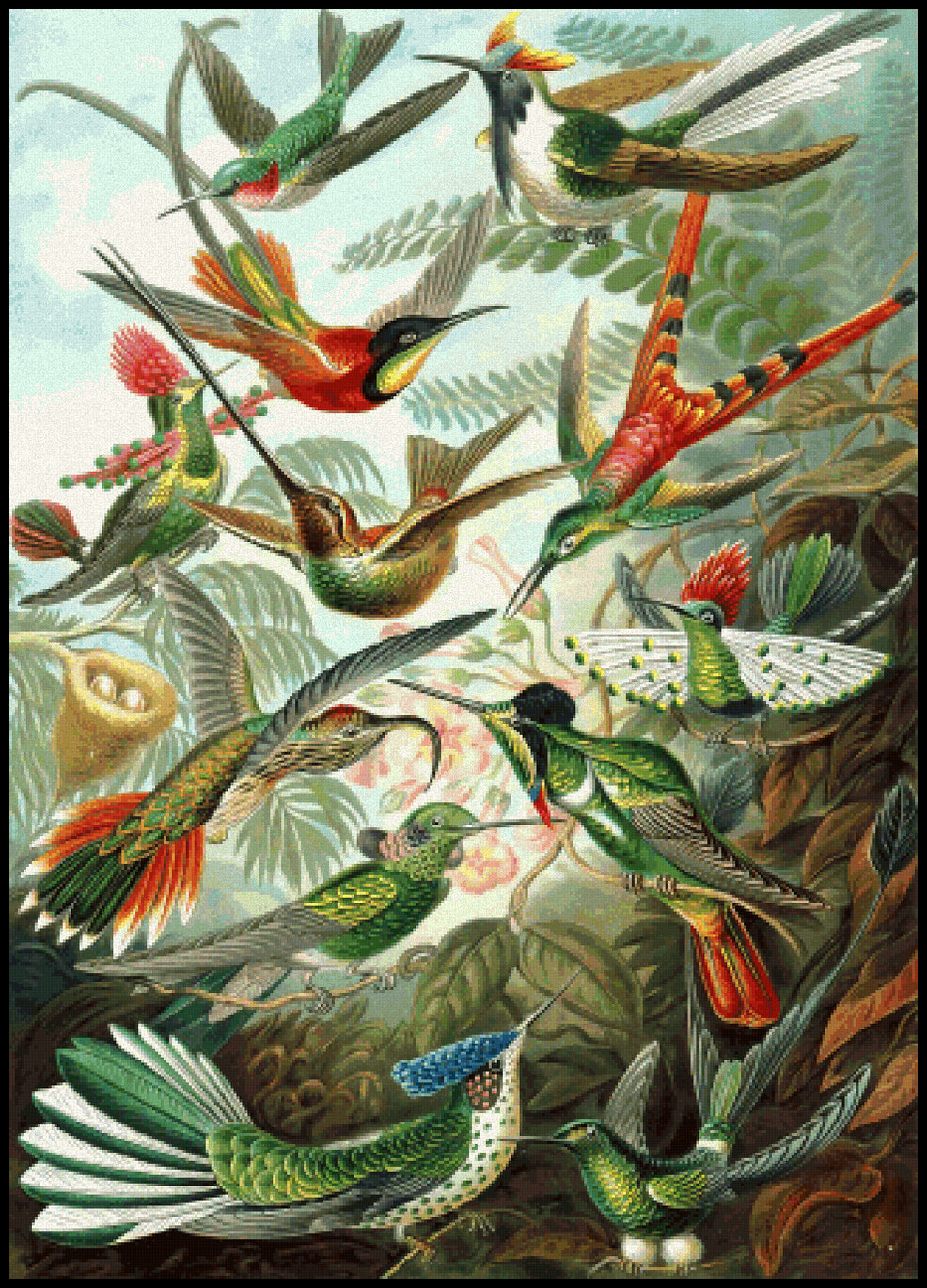 Hummingbirds Ernst Haeckel Cross Stitch Pattern
