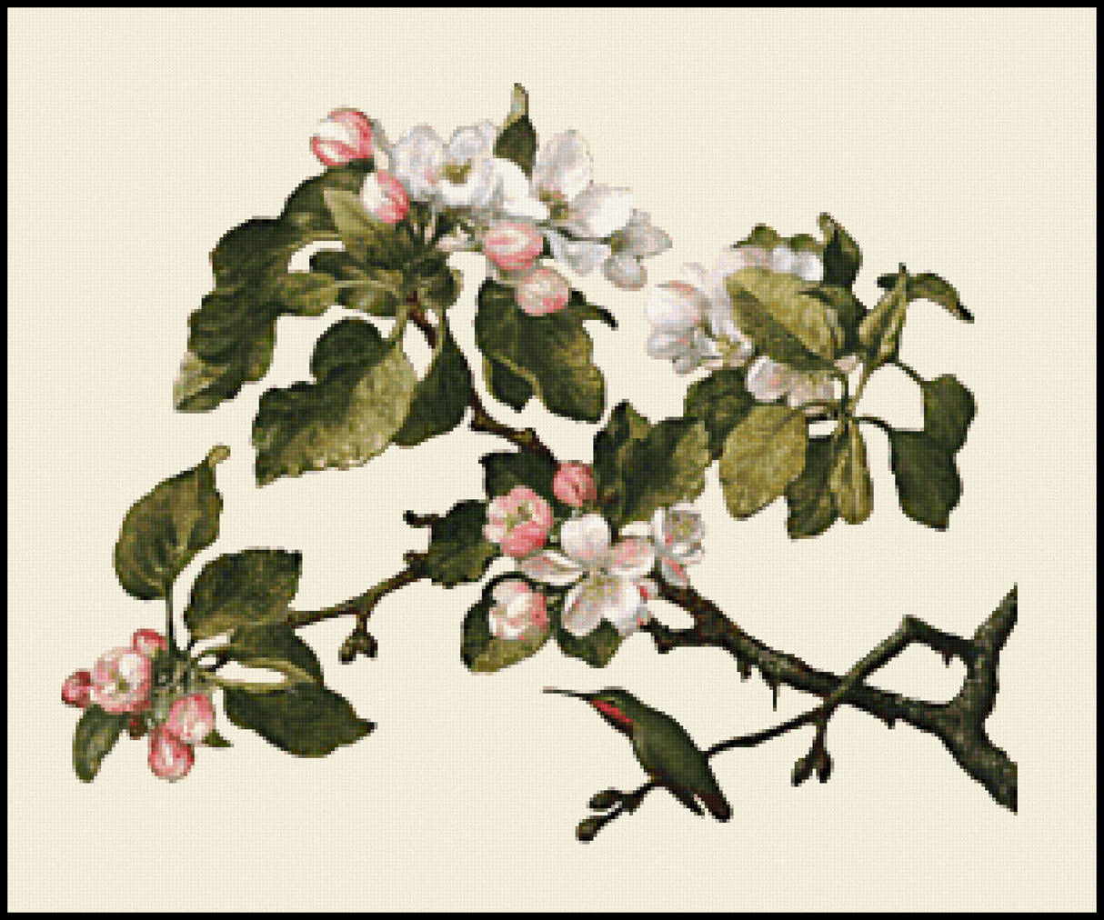 Hummingbird and Apple Blossoms Martin Johnson Heade Cross Stitch Pattern