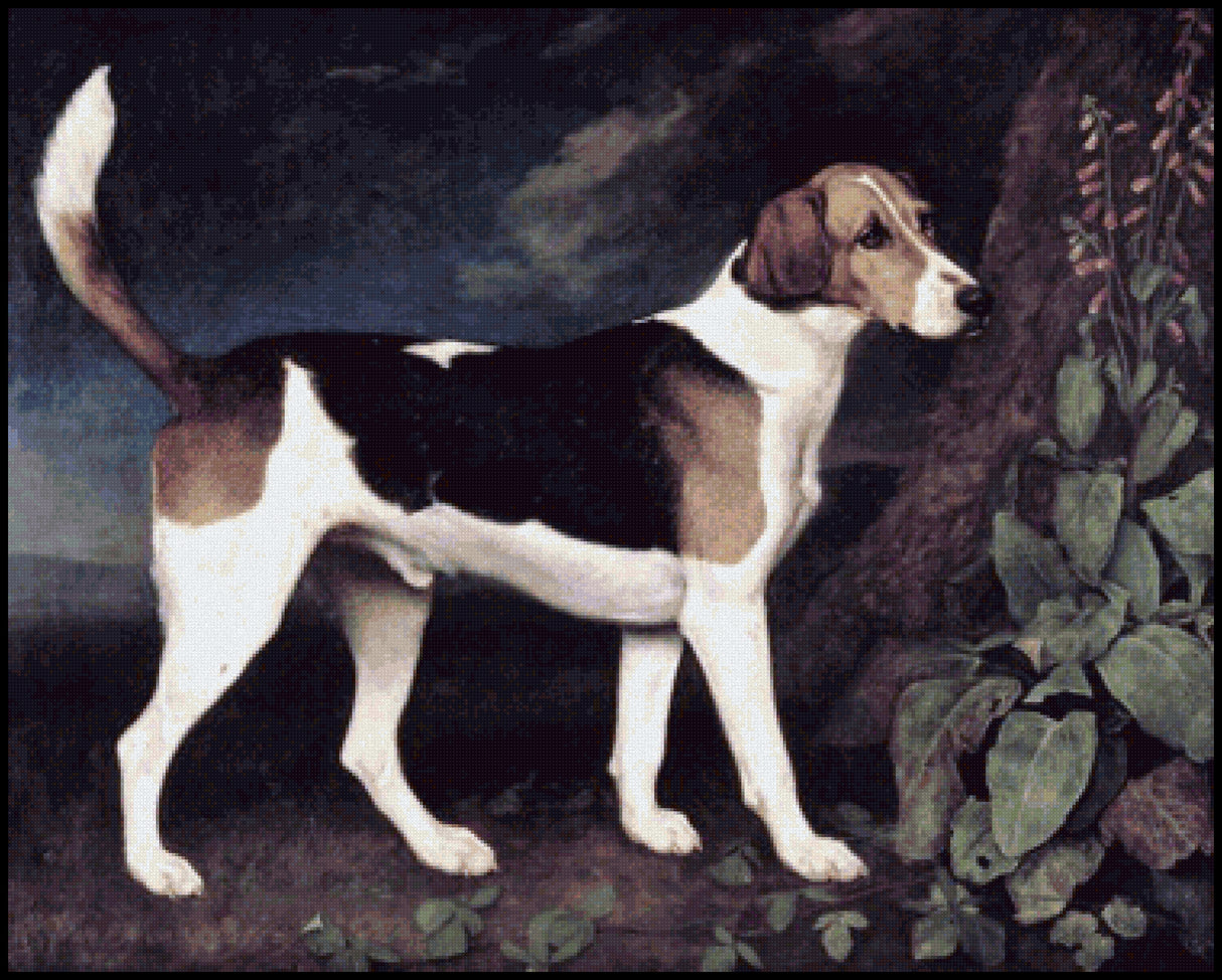 Ringwood a Brocklesby Foxhound George Stubbs Cross Stitch Pattern