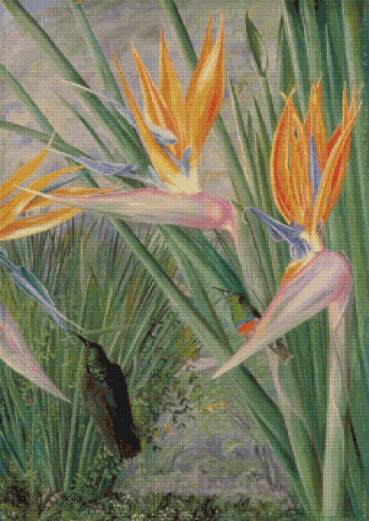 Strelitzia and Sugar Birds South Africa North Cross Stitch Pattern