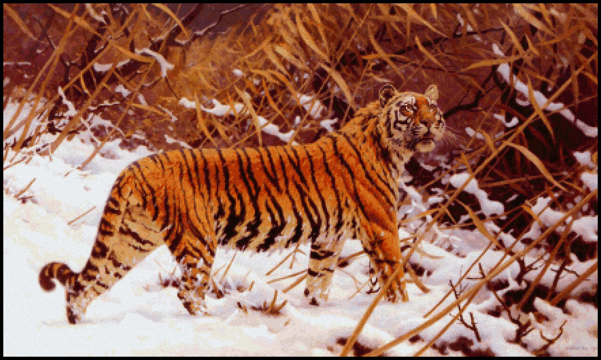 Siberian Tiger in a Snowy Landscape Hugo Ungewitter Cross Stitch Pattern