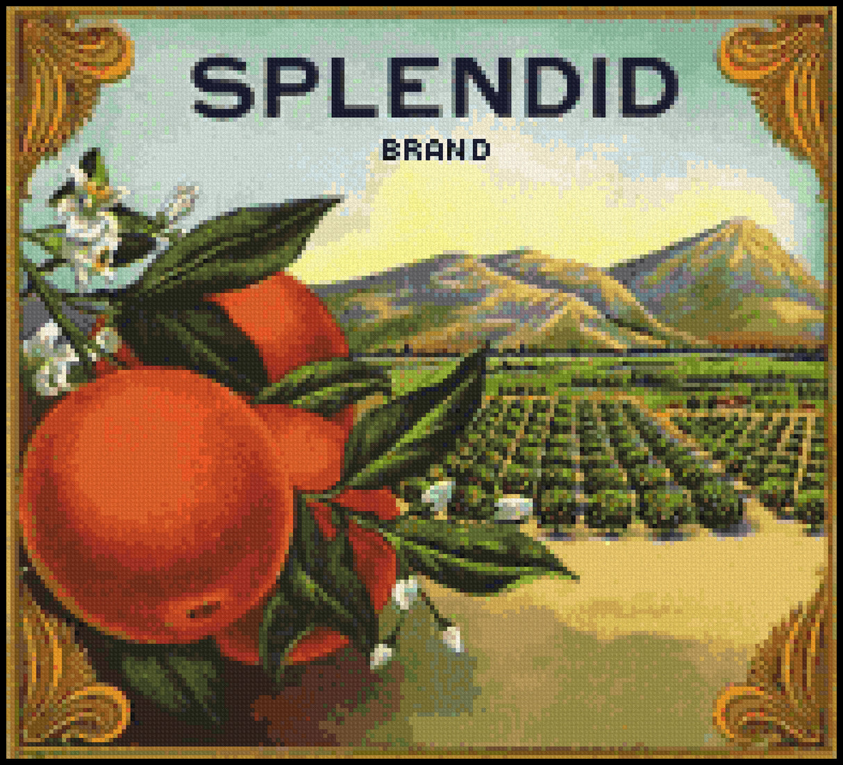 Splendid Cross Stitch Pattern