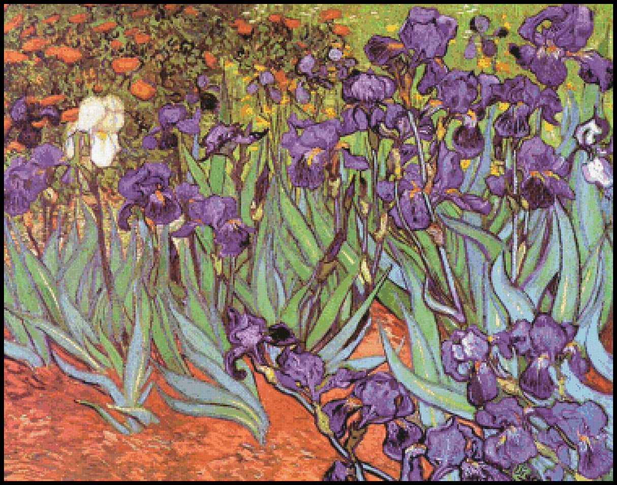 Irises Cross Stitch Pattern