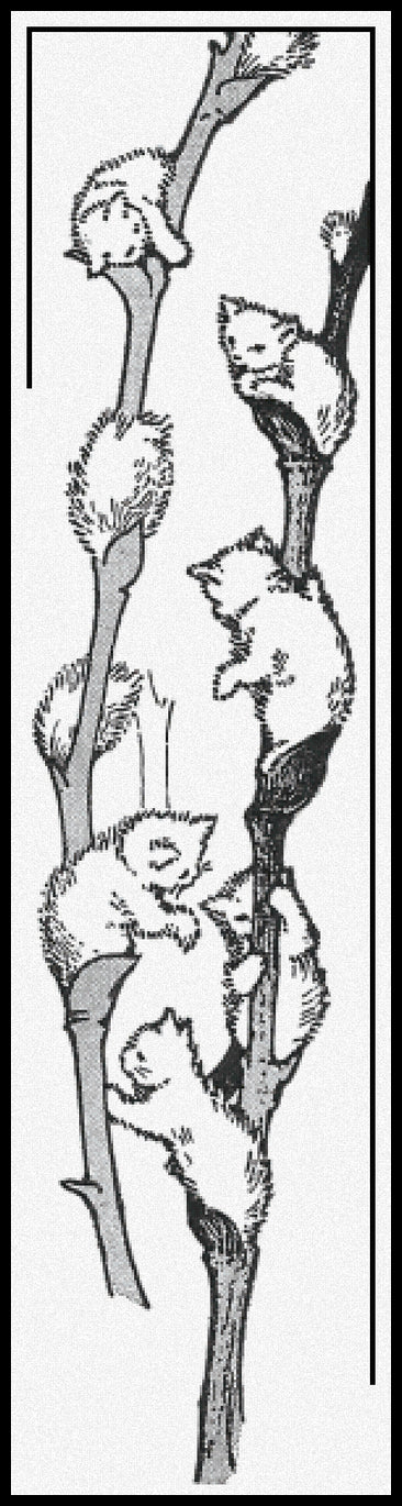 Pussy Willows Cross Stitch Pattern