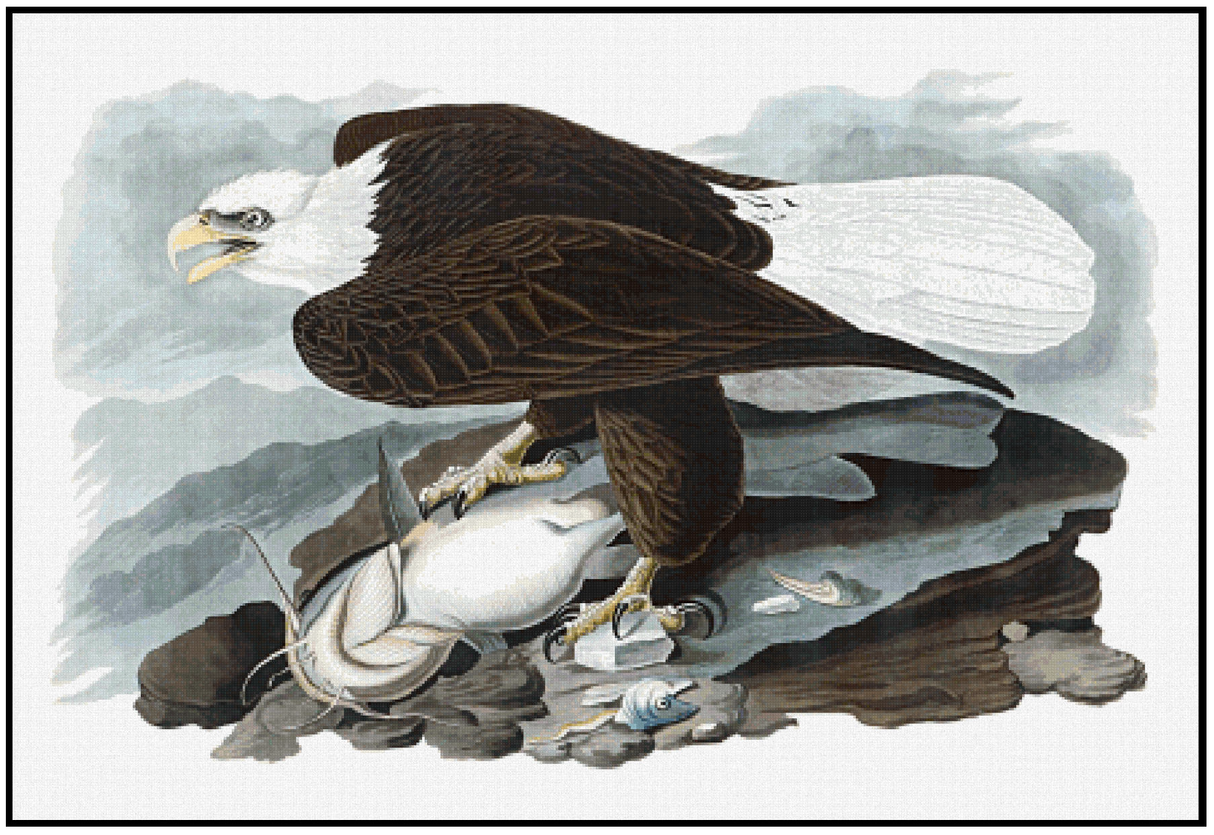 White-Headed Eagle - John James Audubon Cross Stitch Pattern