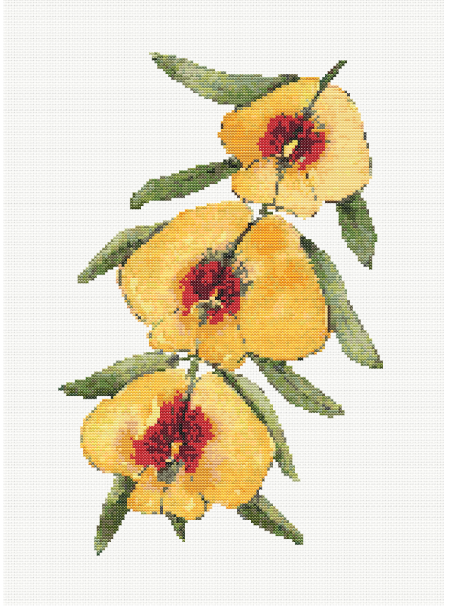 Golden Blossom - Golden Pea Flower Cross Stitch Pattern