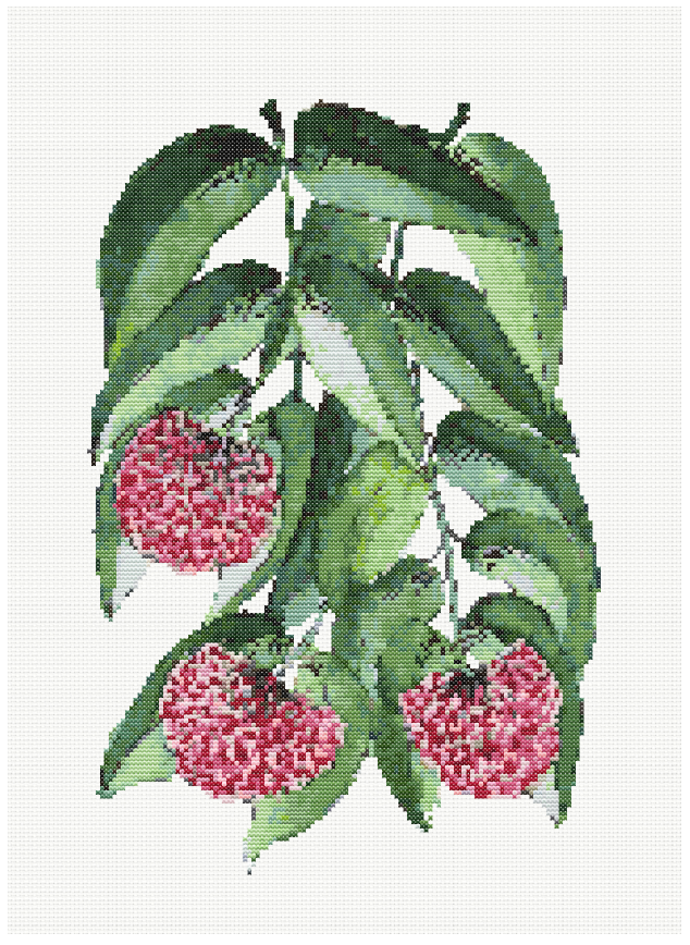 Crimson Berries - Lilly Pilly Cross Stitch Pattern