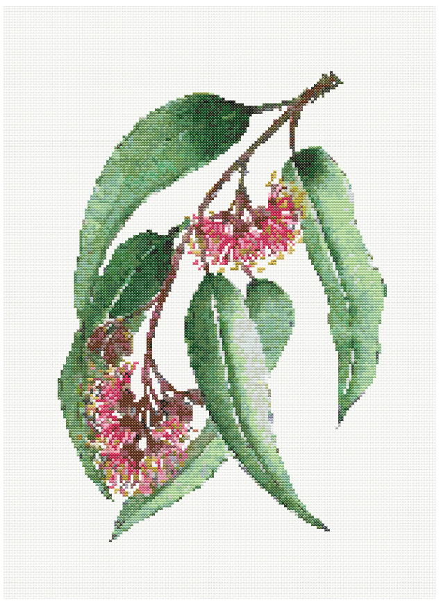 Silver Elegance - Silver Princess Eucalyptus Cross Stitch Pattern