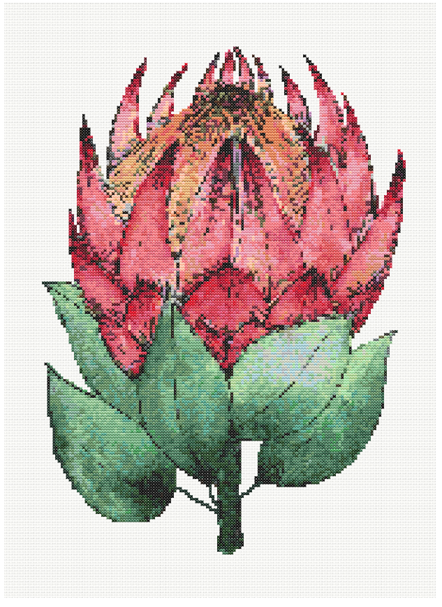 Protea Majesty - King Protea Cross Stitch Pattern