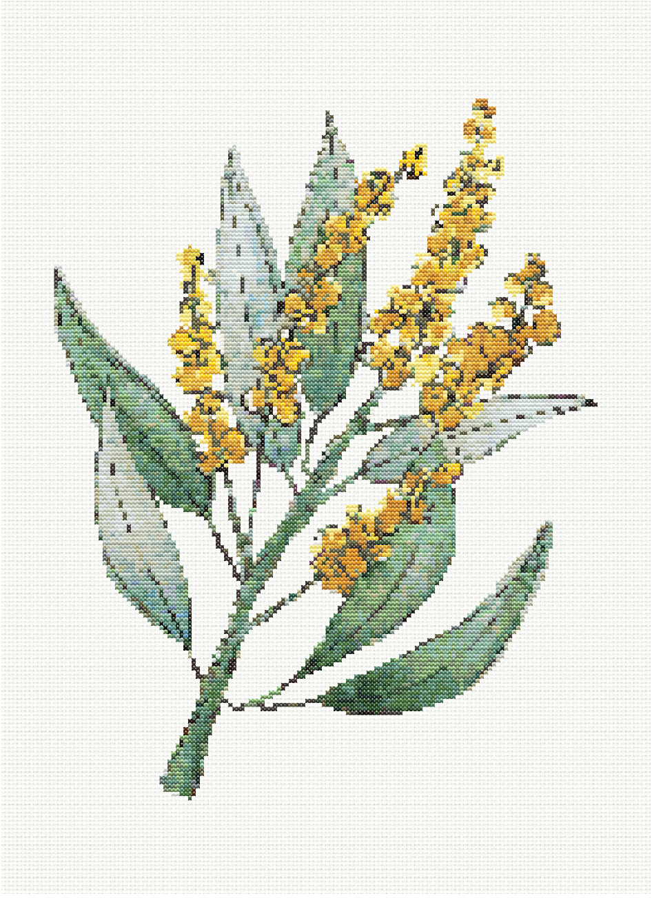 Sunlit Bloom - Golden Wattle Cross Stitch Pattern