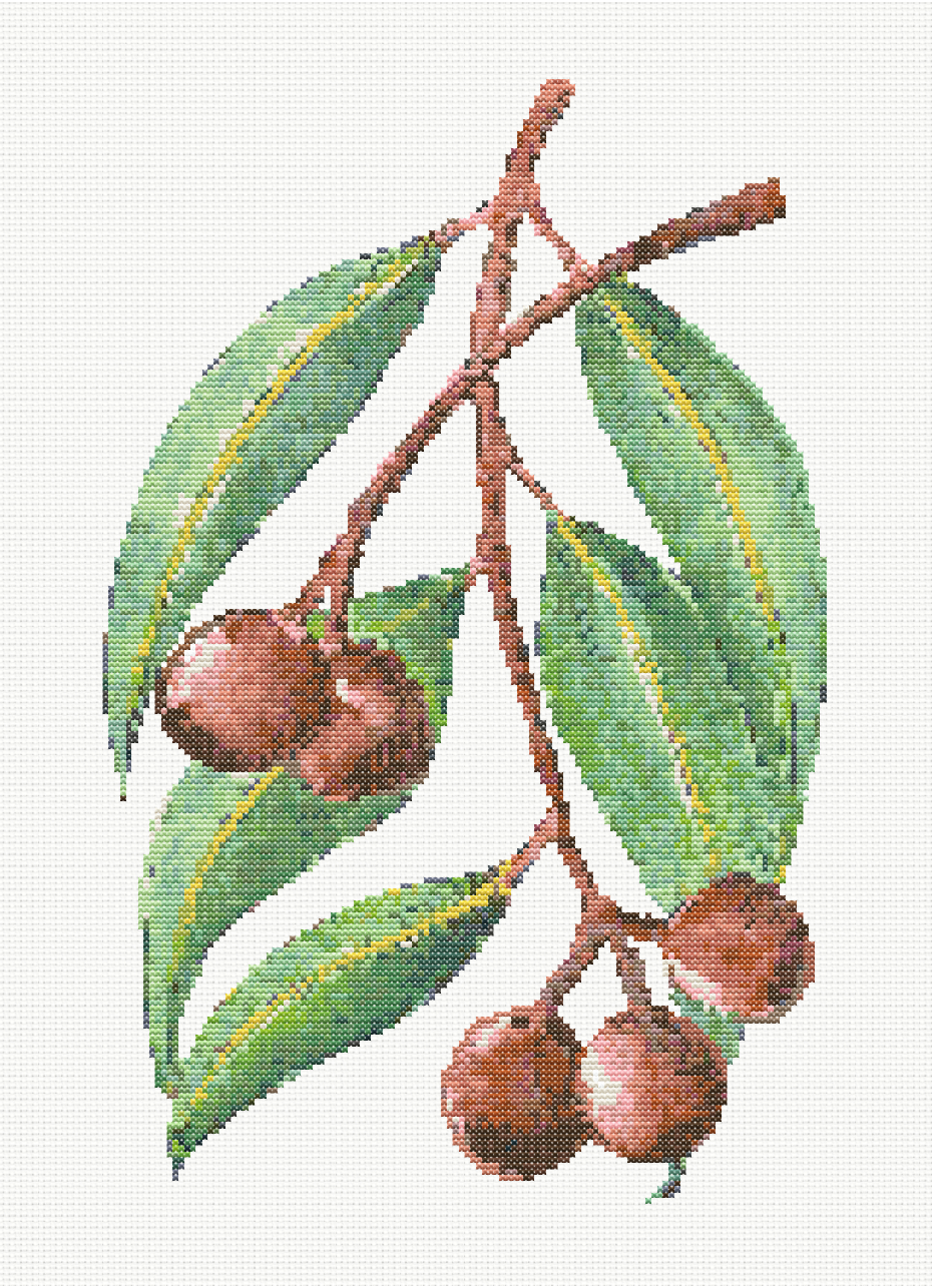 Rustic Gems - Gumnuts Cross Stitch Pattern