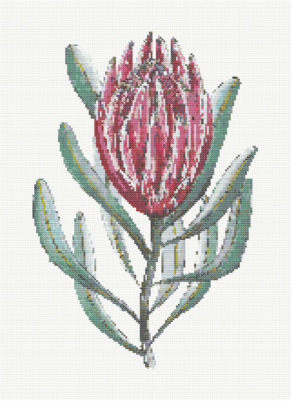 Royal Bloom - Queen Protea Cross Stitch Pattern