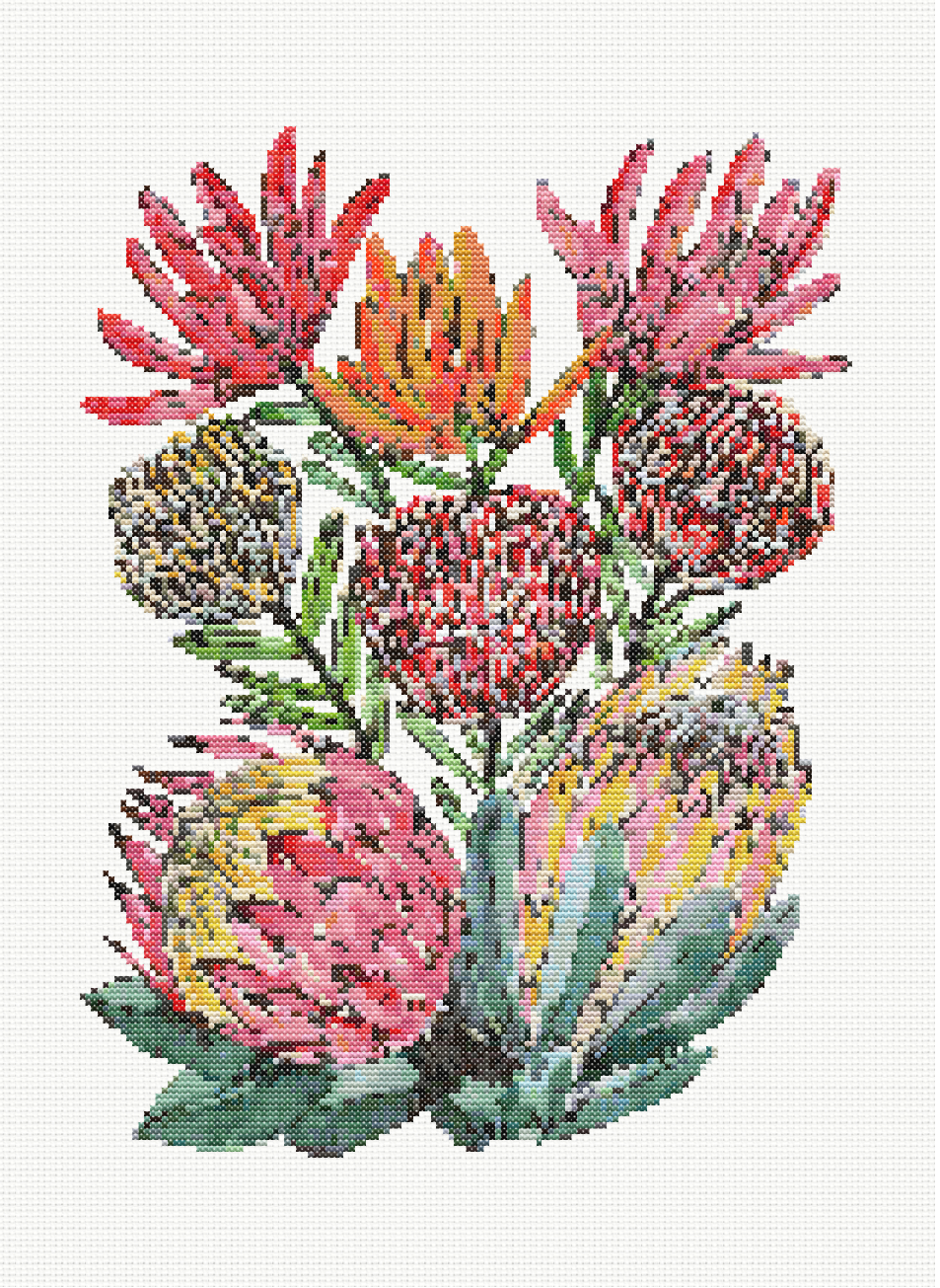 Protea Charm - Protea Delight Cross Stitch Pattern