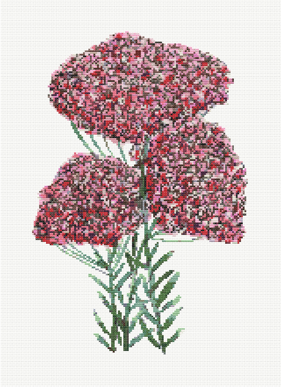 Petite Petals - Rice Flower Cross Stitch Pattern