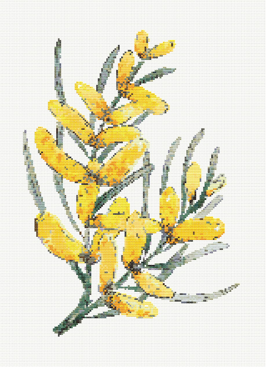 Golden Bliss - Blake’s Wattle Cross Stitch Pattern