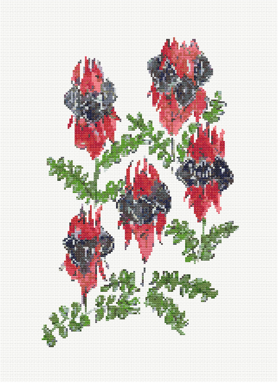 Desert Bloom - Sturt's Desert Pea Plant Cross Stitch Pattern