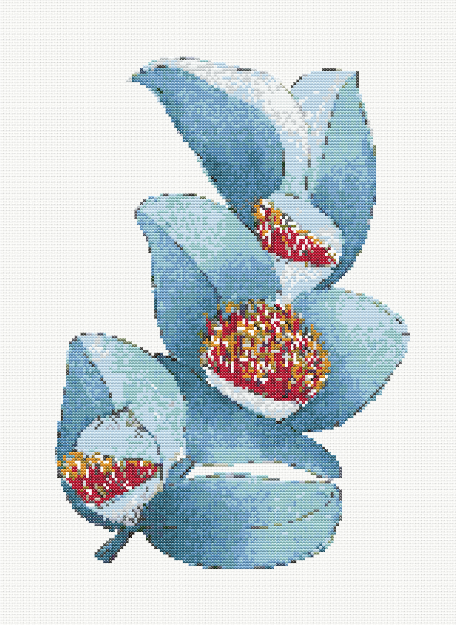 Cerulean Majesty - Macrocarpa Cross Stitch Pattern