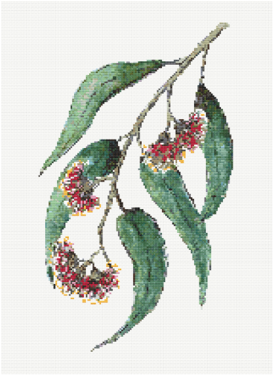 Crimson Bloom - Red Flowering Gum Cross Stitch Pattern