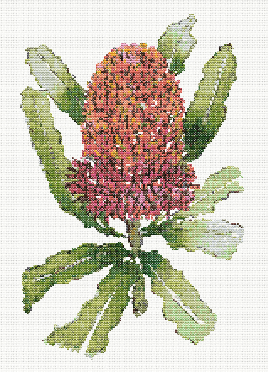 Sunset Banksia - Banksia Orange Cross Stitch Pattern