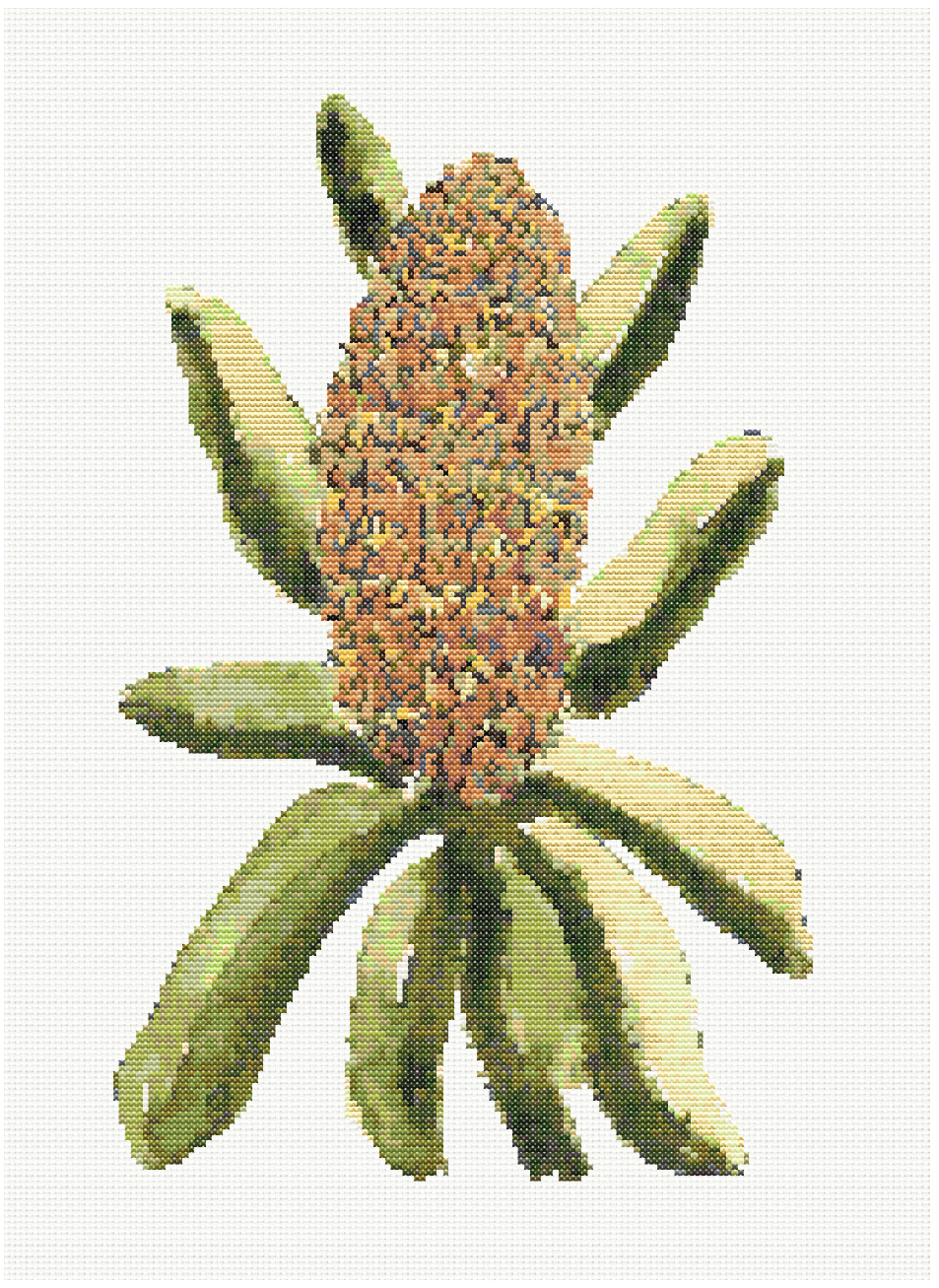 Seaside Bloom - Coastal Banksia Cross Stitch Pattern