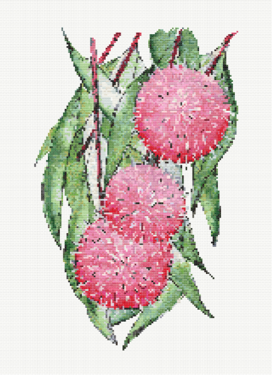 Rosy Elegance - Hakea Cross Stitch Pattern