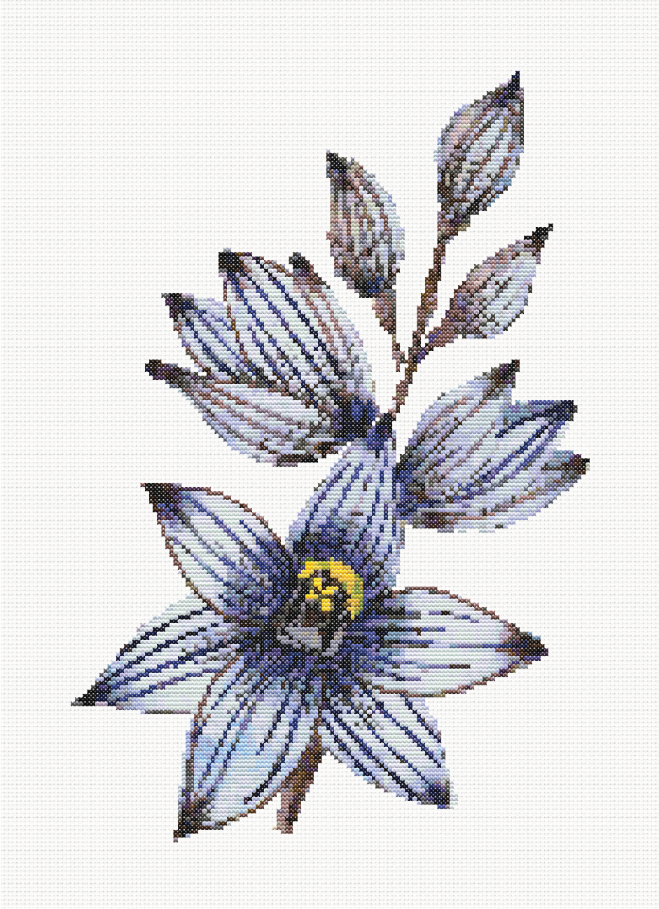 Indigo Glow - Blue Sun Orchid Cross Stitch Pattern