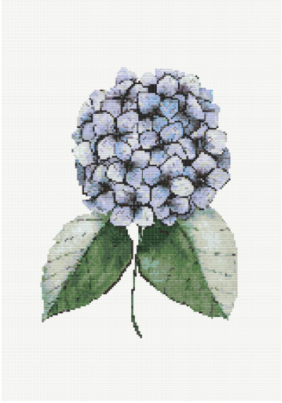 Blue Hydrangea Elegance - Hydrangea (2) Cross Stitch Pattern