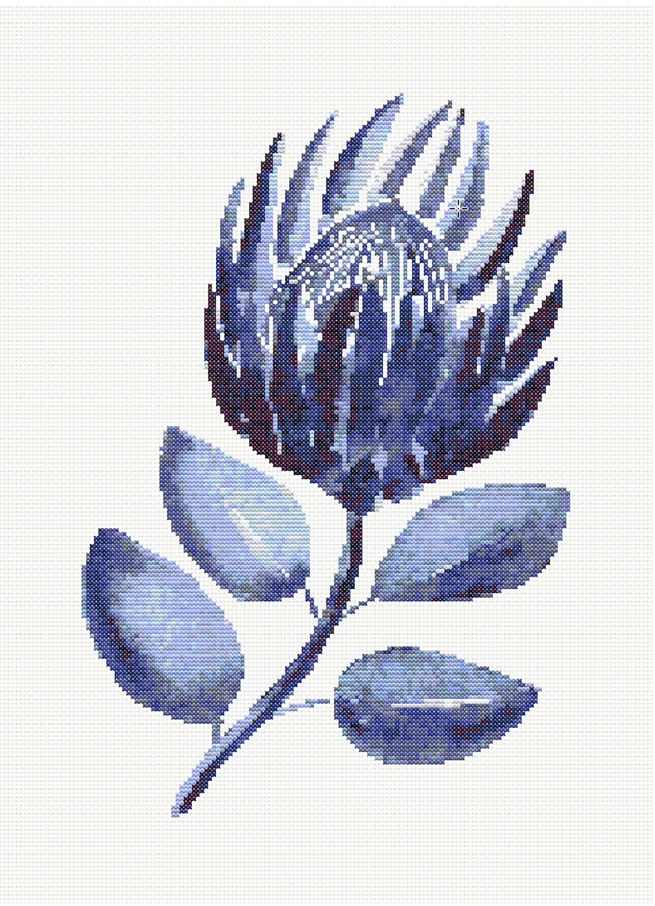 Protea Majesty in Blue - Hamptons King Protea Flower Cross Stitch Pattern