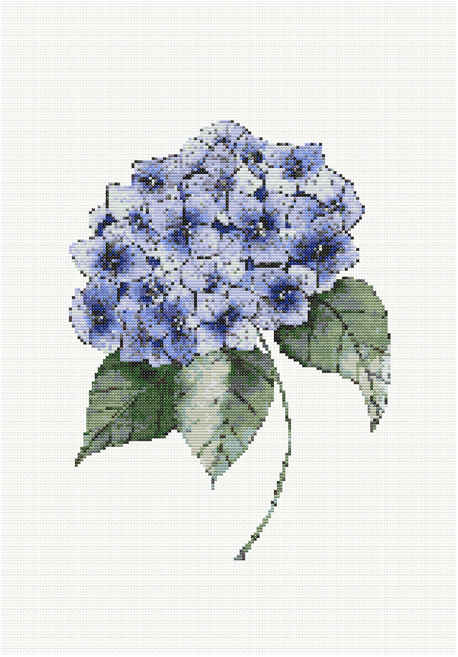 Twilight Hydrangea - Hydrangea (3) Cross Stitch Pattern