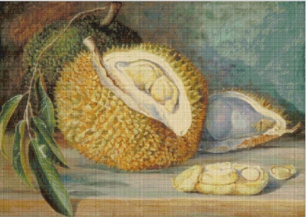 Durian Fruit from a Large Tree Sarawak Borneo Cross Stitch Pattern