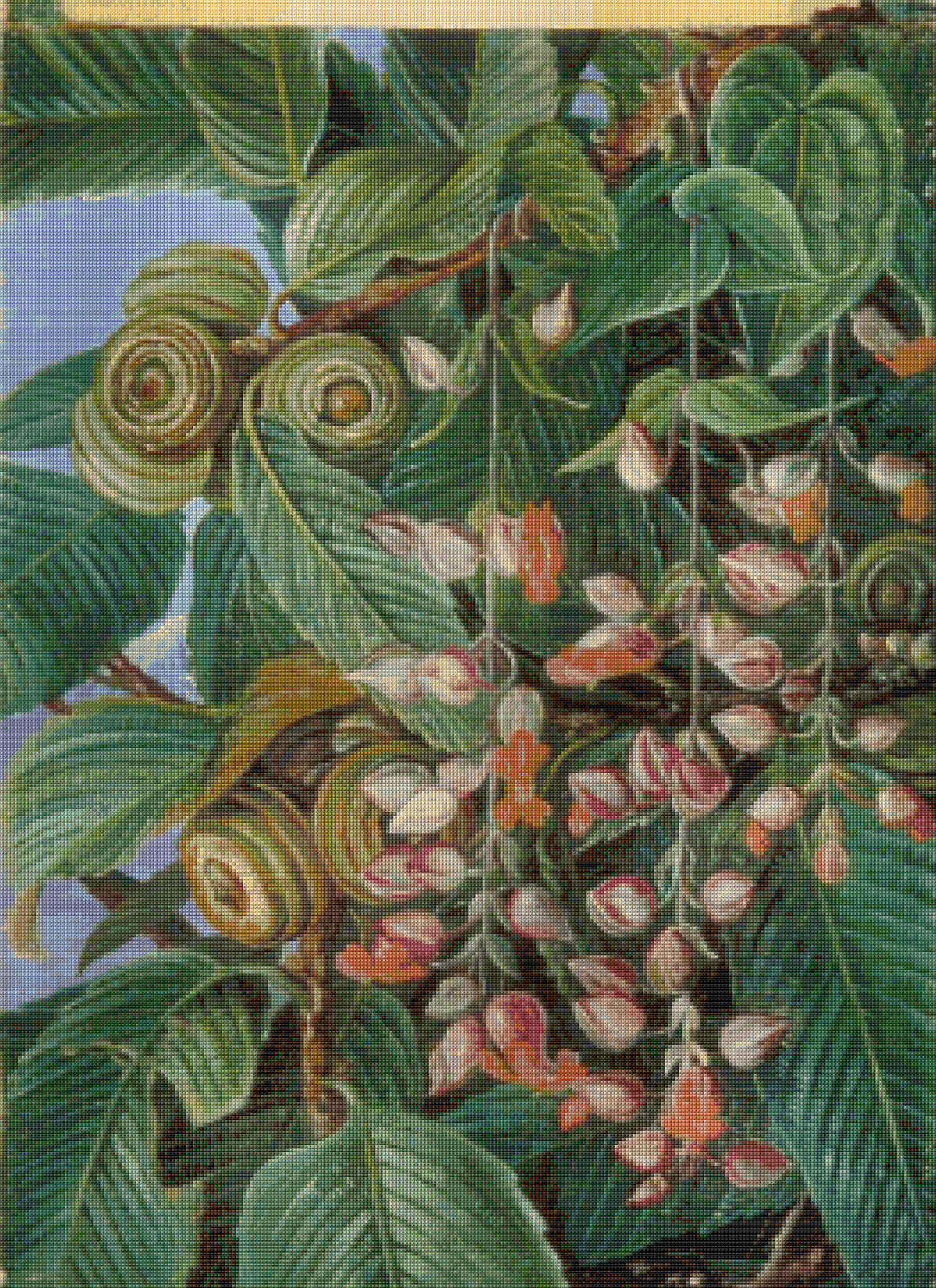 A Darjeeling Oak Festooned with a Climber Cross Stitch Pattern