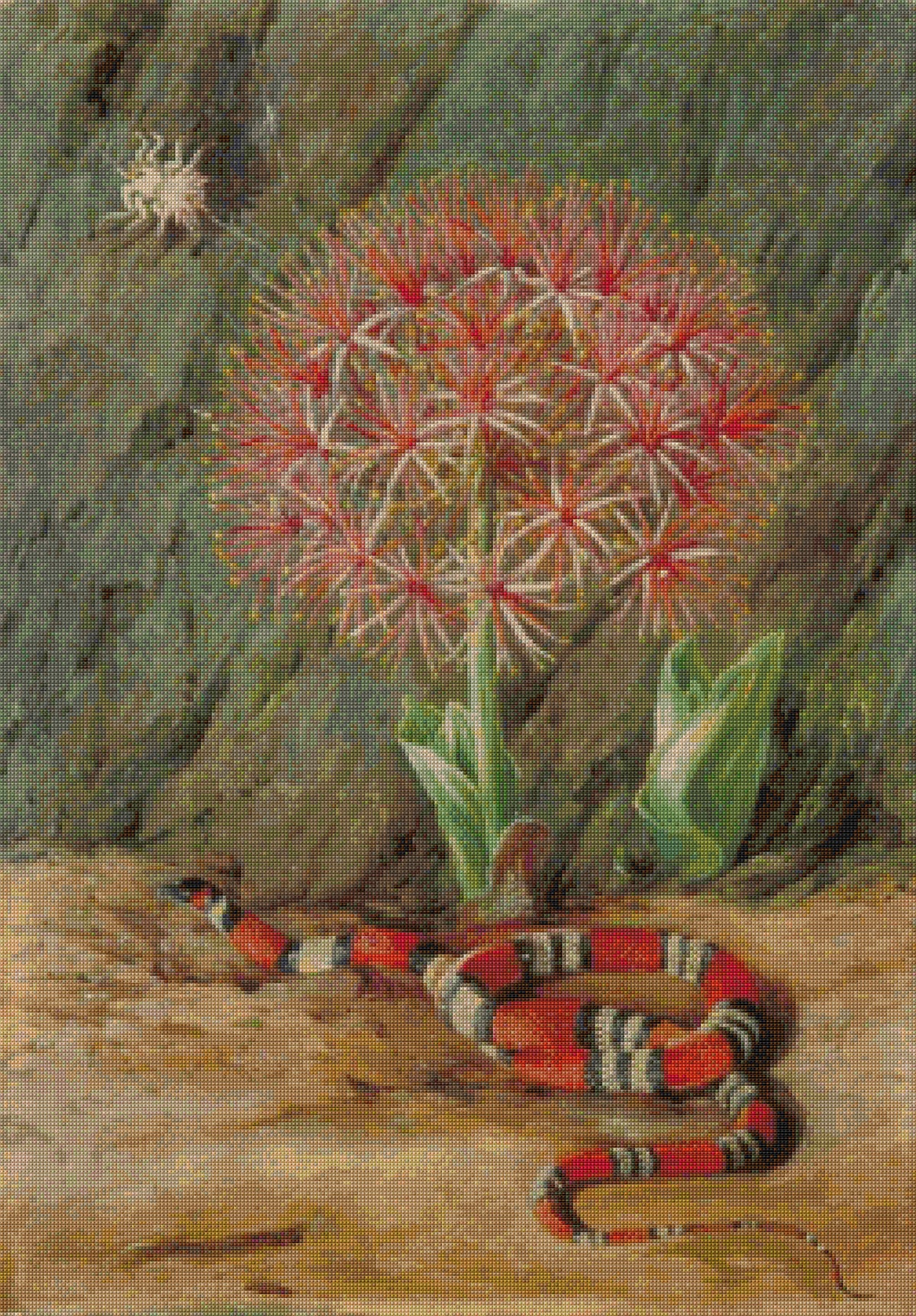 Flor Imperiale Coral Snake and Spider Brazil North Cross Stitch Pattern