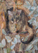 Possum up a Gum Tree North Cross Stitch Pattern
