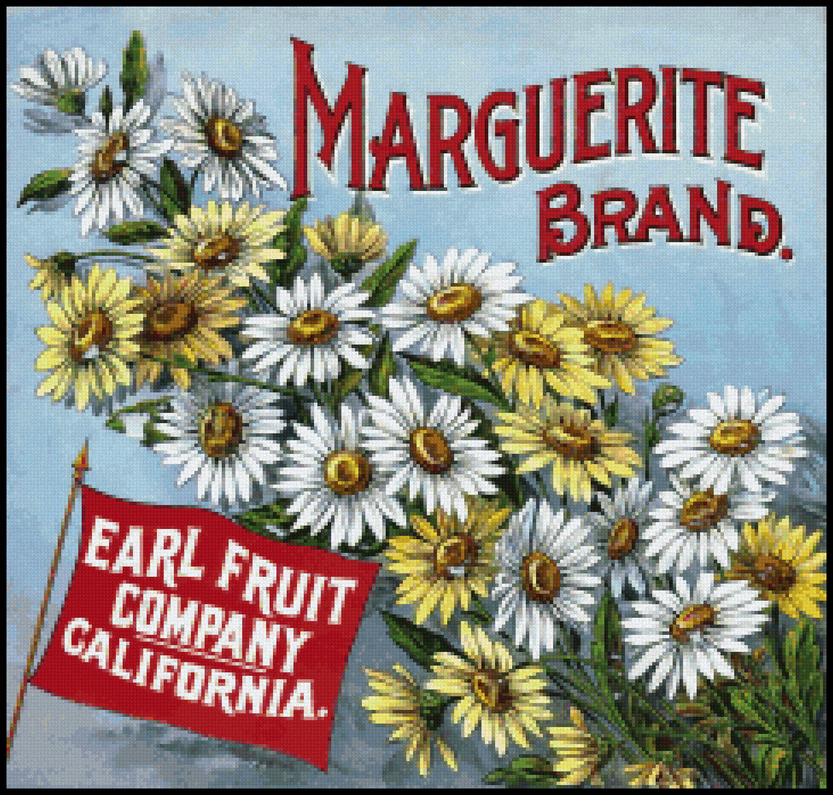 Marguerite Brand Cross Stitch Pattern