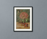 Flor Imperiale Coral Snake and Spider Brazil North Cross Stitch Pattern