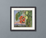 Foliage and Fruit of Sterculia Parviflora North Cross Stitch Pattern