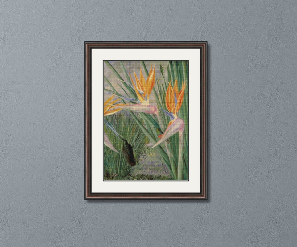 Strelitzia and Sugar Birds South Africa North Cross Stitch Pattern