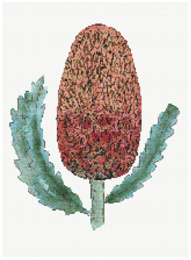 Banksia Bliss - Banksia Cross Stitch Pattern