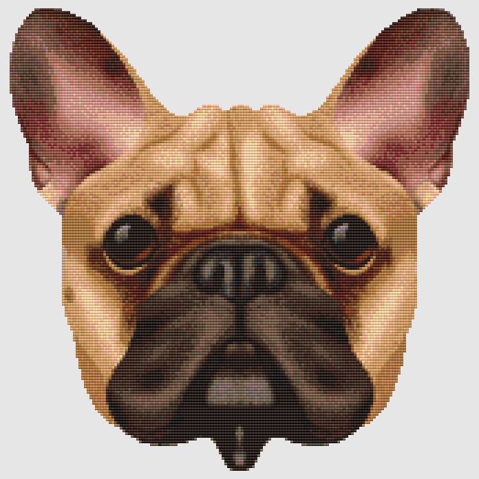 French Bulldog - Face (Fawn) Cross Stitch Pattern