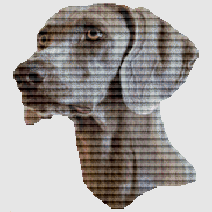 Weimaraner - Profile Cross Stitch Pattern