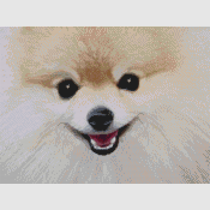 Pomeranian - Misty Cream Cross Stitch Pattern